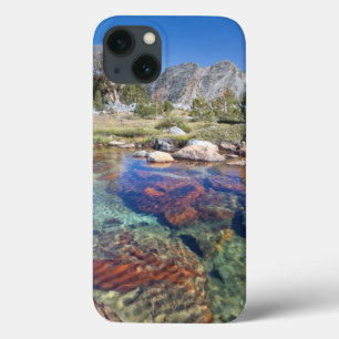 アメリカ, カリフォルニア州, イニョー国有林 4 iPhone 13ケース