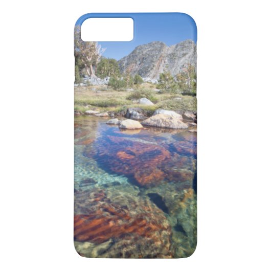 アメリカ、カリフォルニア州、イニョー国有林 4 Case-Mate iPhoneケース (裏面)