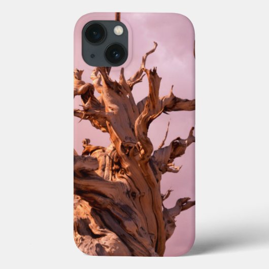 アメリカ, カリフォルニア州, イニョー国有林 9 Case-Mate iPhoneケース (裏面)