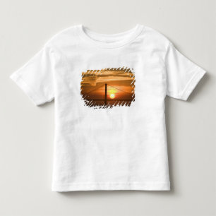 アメリカ。カリフォルニア州。サンフランシスコ。日没 トドラーTシャツ