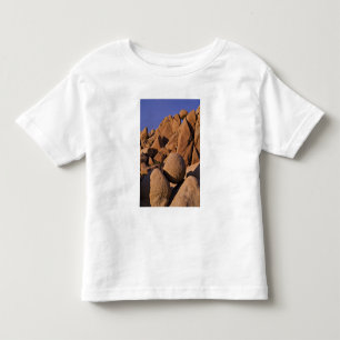 アメリカ、カリフォルニア州、ジョシュア・ツリー国立公園 トドラーTシャツ