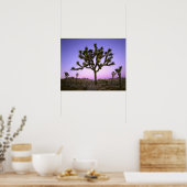 アメリカ カリフォルニア州 ジョシュア・ツリー国立公園 ポスター (キッチン)