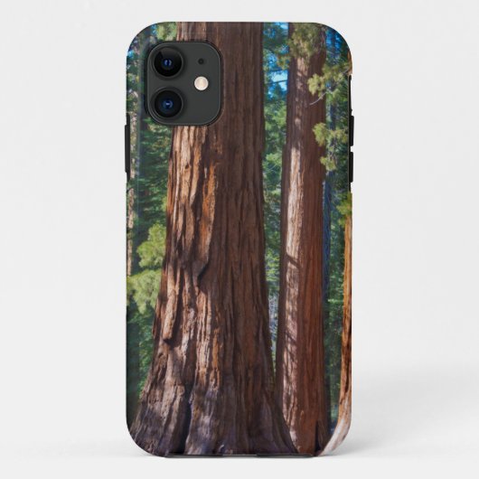 アメリカ、カリフォルニア州。セコイアの木の幹、マリポサ Case-Mate iPhoneケース (裏面)
