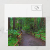 アメリカ、カリフォルニア州。セコイアの道 ポストカード (正面/裏面)