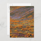 アメリカ, カリフォルニア州, テハチャピ山脈, 2 ポストカード (正面/裏面)