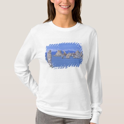 アメリカ、カリフォルニア州、モノ湖 Tシャツ (正面)