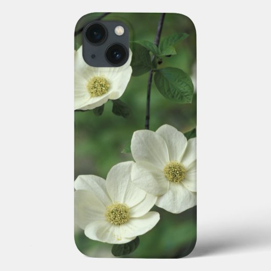 アメリカ カリフォルニア州 ヨセミテ国立公園 マーセド川沿い Case-Mate iPhoneケース (裏面)