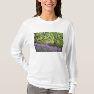 アメリカ、カリフォルニア州、レッドウッド国立公園。土 Tシャツ