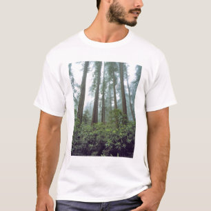 アメリカ カリフォルニア州 レッドウッド国立公園 霧が Tシャツ