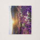 アメリカ、カリフォルニア、アンザ-ボレゴ砂漠州公園2 ジグソーパズル (縦)