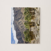 アメリカ、カリフォルニア、アンザ-ボレゴ砂漠州公園 ジグソーパズル (縦)