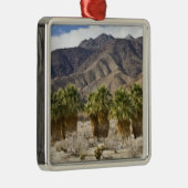 アメリカ、カリフォルニア、アンザ-ボレゴ砂漠州公園 メタルオーナメント (右)