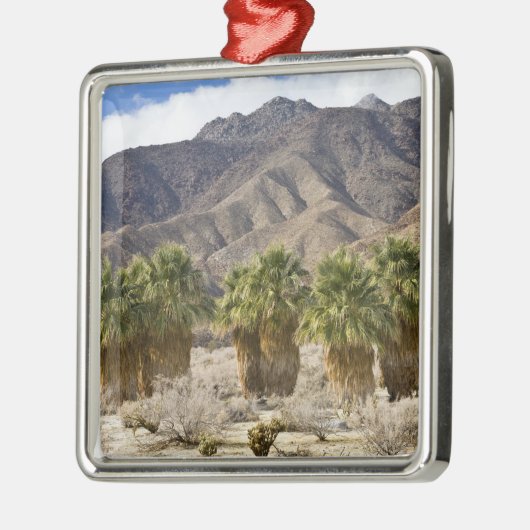 アメリカ、カリフォルニア、アンザ-ボレゴ砂漠州公園 メタルオーナメント (左)