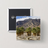 アメリカ、カリフォルニア、アンザ-ボレゴ砂漠州公園 缶バッジ (正面&裏面)