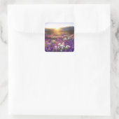 アメリカ、カリフォルニア、アンザ・ボレゴ砂漠州公園。2 スクエアシール (バッグ)