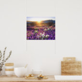 アメリカ、カリフォルニア、アンザ・ボレゴ砂漠州公園。2 ポスター (キッチン)