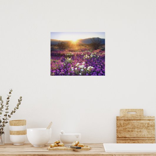 アメリカ、カリフォルニア、アンザ・ボレゴ砂漠州公園。2 ポスター (キッチン)