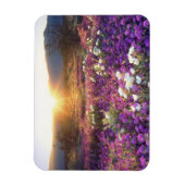 アメリカ、カリフォルニア、アンザ・ボレゴ砂漠州公園。2 マグネット (縦)