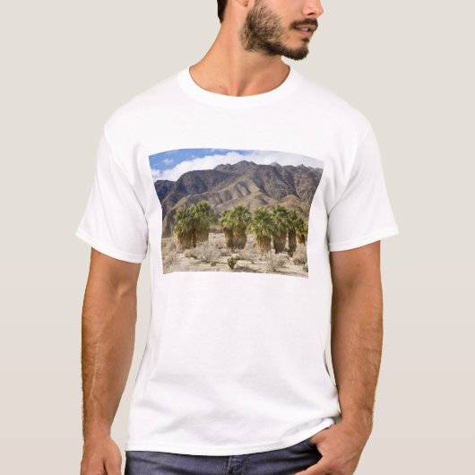 アメリカ、カリフォルニア、アンザ-ボレゴ砂漠州公園 Tシャツ (正面)