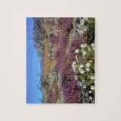 アメリカ、カリフォルニア、アンザ·ボレゴDSPデューン夕べ ジグソーパズル (縦)