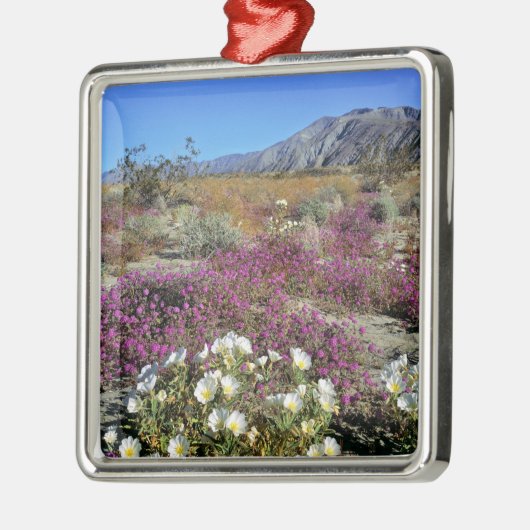 アメリカ、カリフォルニア、アンザ·ボレゴDSPデューン夕べ メタルオーナメント (左)