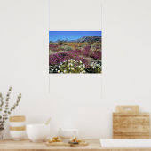 アメリカ、カリフォルニア、アンザ・ボレゴDSP。デューン夕べ ポスター (キッチン)