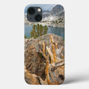 アメリカ、カリフォルニア、イニョ国有林 iPhone 13ケース