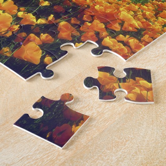 アメリカ、カリフォルニア、エルシノア湖。カリフォルニア ジグソーパズル (側面)