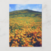 アメリカ、カリフォルニア、エルシノーレ湖。カリフォルニア州 ポストカード (正面)