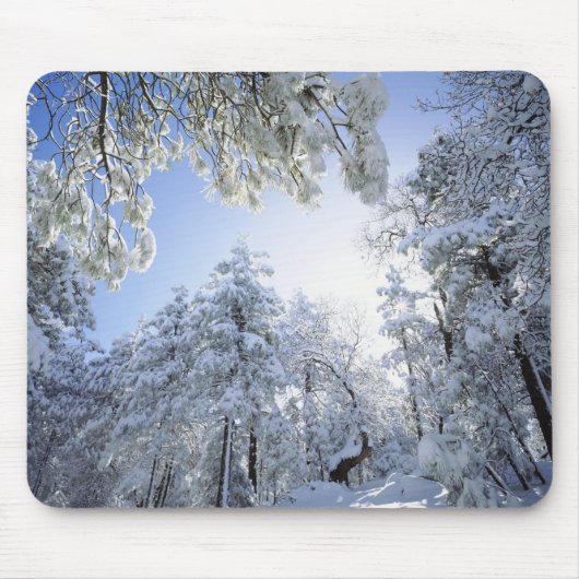 アメリカ、カリフォルニア、クリーブランド国有林 マウスパッド (正面)