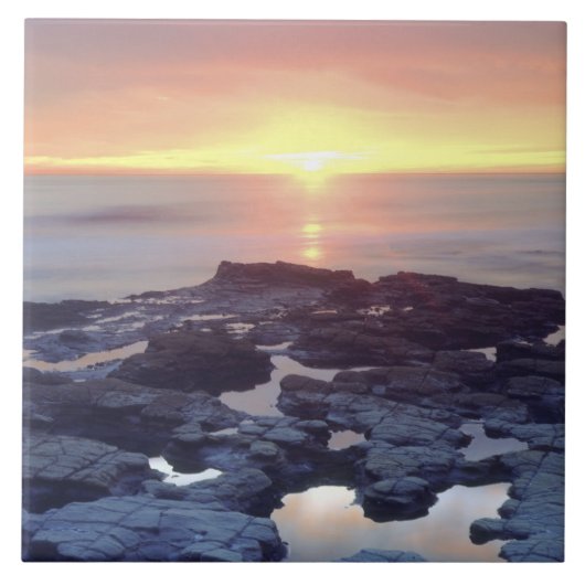 アメリカ、カリフォルニア、サンディエゴ。サンセット崖潮 タイル (正面)