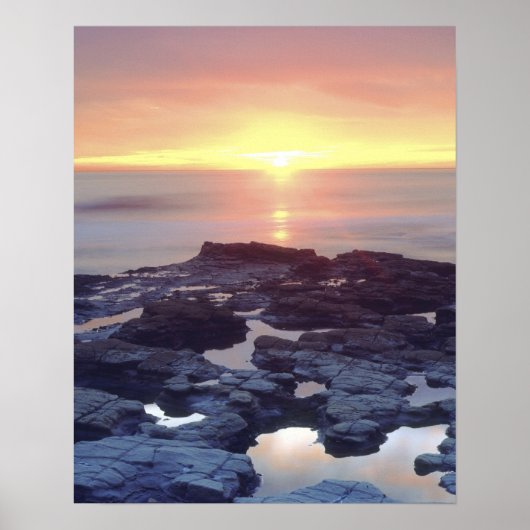 アメリカ、カリフォルニア、サンディエゴ。日没の崖の潮 ポスター (正面)