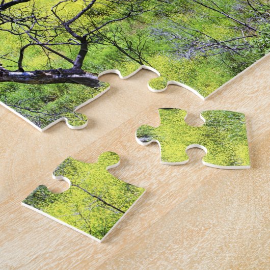 アメリカ、カリフォルニア、サンディエゴ。焼けた樫の林 ジグソーパズル (側面)