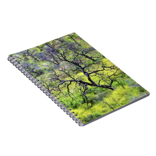 アメリカ、カリフォルニア、サンディエゴ。焼けた樫の林 ノートブック (右側)