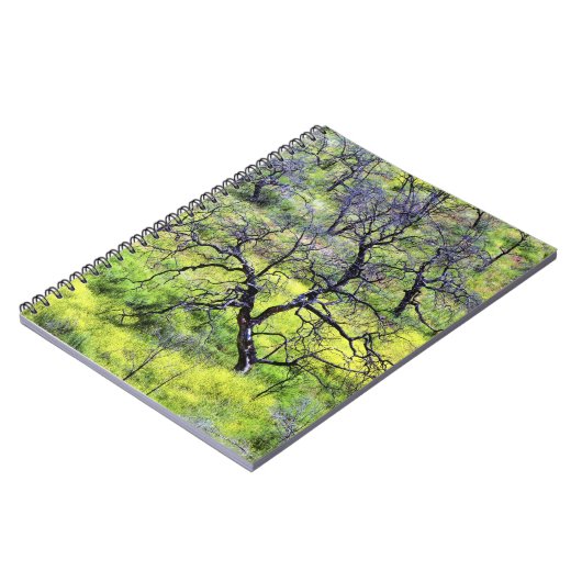 アメリカ、カリフォルニア、サンディエゴ。焼けた樫の林 ノートブック (左側)