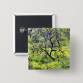 アメリカ、カリフォルニア、サンディエゴ。焼けた樫の林 缶バッジ (正面&裏面)