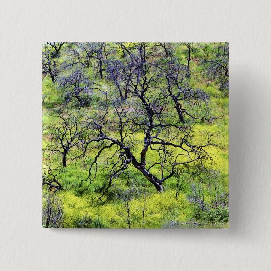 アメリカ、カリフォルニア、サンディエゴ。焼けた樫の林 缶バッジ (正面)