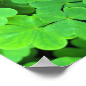 アメリカ、カリフォルニア、ジェデディア・スミス・リウッドSP。 ポスター (角)