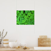 アメリカ、カリフォルニア、ジェデディア・スミス・リウッドSP。 ポスター (キッチン)