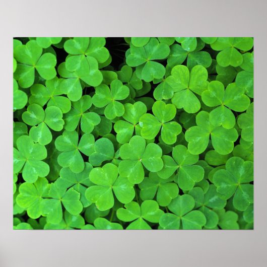 アメリカ、カリフォルニア、ジェデディア・スミス・リウッドSP。 ポスター (正面)