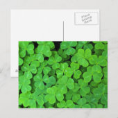 アメリカ、カリフォルニア、ジェデディア・スミス・リウッドSP。 ポストカード (正面/裏面)