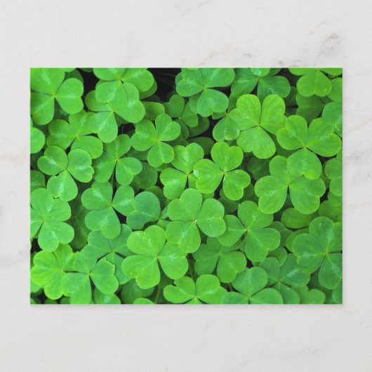 アメリカ、カリフォルニア、ジェデディア・スミス・リウッドSP。 ポストカード (正面)