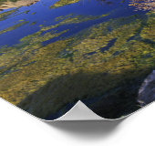 アメリカ、カリフォルニア、ジョシュア・ツリー国立公園。 ポスター (角)