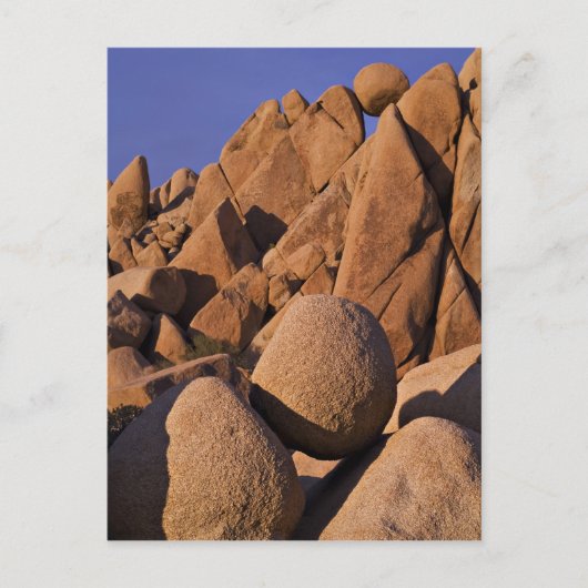 アメリカ、カリフォルニア、ジョシュア・ツリー国立公園。 ポストカード (正面)
