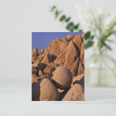 アメリカ、カリフォルニア、ジョシュア・ツリー国立公園。 ポストカード (スタンド正面)