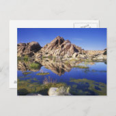 アメリカ、カリフォルニア、ジョシュア・ツリー国立公園。 ポストカード (正面/裏面)