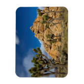 アメリカ、カリフォルニア、ジョシュア・ツリー国立公園 マグネット (縦)