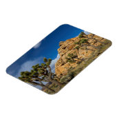 アメリカ、カリフォルニア、ジョシュア・ツリー国立公園 マグネット (左側)