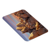 アメリカ、カリフォルニア、ジョシュア・ツリー国立公園 マグネット (右側)