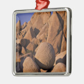 アメリカ、カリフォルニア、ジョシュア·ツリー国立公園。 メタルオーナメント (左)